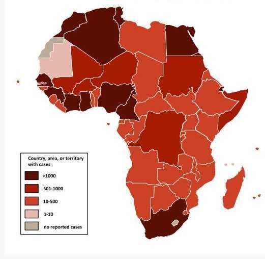 Coronavirus: le point sur l'épidémie de COVID-19 en Afrique par régions et par pays