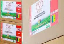 Le Sénégal réceptionne son lot de Covid-Organics de Madagascar
