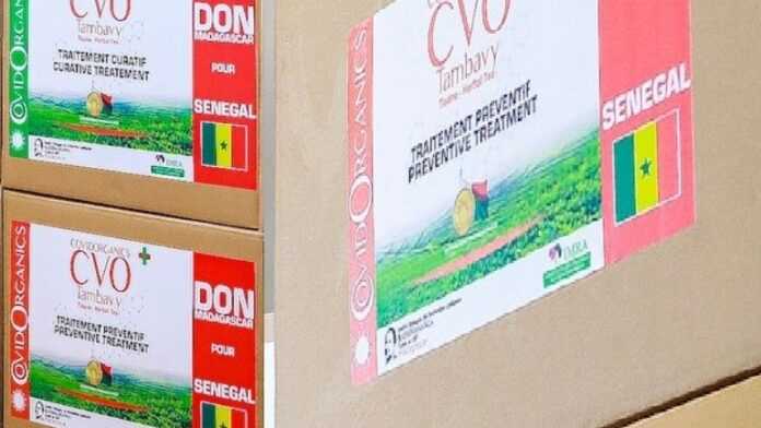 Lot de Covid-Organics destiné au Sénégal