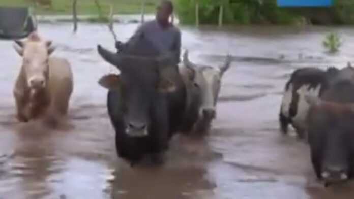 Inondation au Kenya