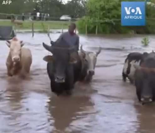 Kenya : Les inondations font 200 morts et plusieurs centaines de milliers de déplacés