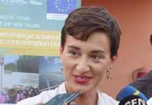 Artemisia et Covid-19 : ce que dit l’Union Européenne