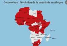 Carte interactive du Covid-19 en Afrique : le point par pays le 6 juin 2020