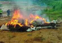 Cameroun : 24 sacs de cannabis incinérés à Douala Cameroun : 24 sacs de cannabis incinérés à Douala