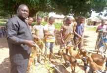 Nigeria : un politicien fait des dons de cordes à sa communauté pour attacher les chèvres ! (vidéo) Nigeria : un politicien fait des dons de cordes à sa communauté pour attacher les chèvres ! (vidéo)