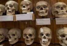 La France restitue à l’Algérie les restes de 24 combattants tués durant la colonisation La France restitue à l’Algérie les restes de 24 combattants tués durant la colonisation