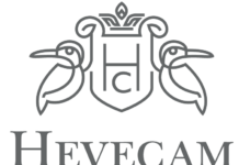 Hévéa Cameroun : plus de 1000 employés licenciés