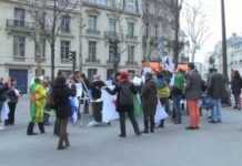 Algérie : en France, on manifeste contre un 4e mandat de Bouteflika