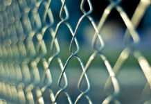 Togo : 56 manifestants libérés, les autres risquent la prison