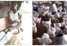 Nigeria : la police « torture » à mort deux individus, suite au vol de 7 poulets à Bauchi