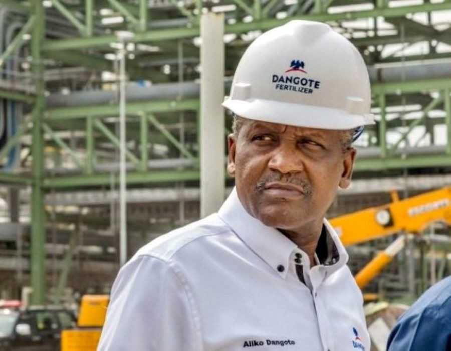 Homme le plus riche d'Afrique, Aliko Dangote fait son plus gros pari