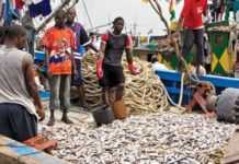 Ghana : les moyens de subsistance de 140 000 pêcheurs menacés Ghana : les moyens de subsistance de 140 000 pêcheurs menacés