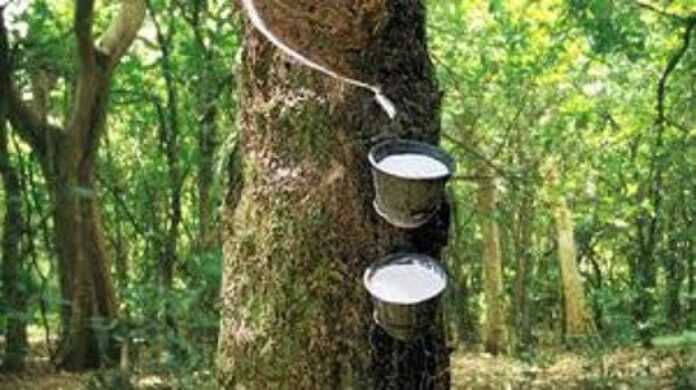 Ghana Rubber Estate Limited