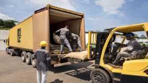 Loading cocoa bags on a MSC container