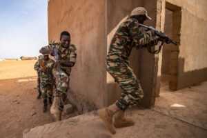 Soldats nigeriens