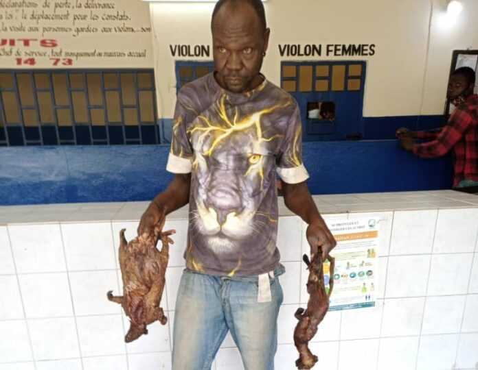 Viande de brousse