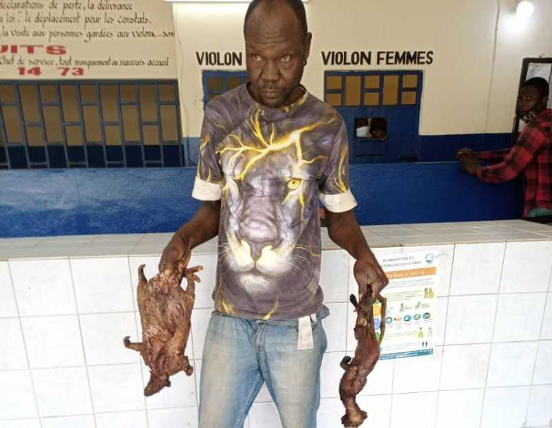 Côte d'Ivoire : un trafiquant de viande de brousse appréhendé à Abobo