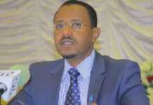Ethiopie : le ministre de la Défense Megerssa suspendu par le parti au pouvoir