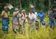 Botswana : les femmes peuvent désormais posséder des terres !