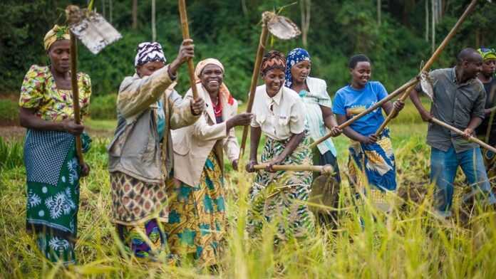 femme agriculture Bostwana