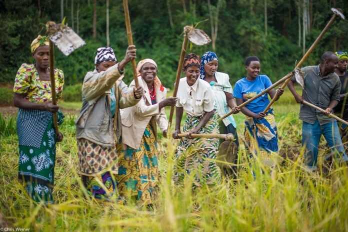 femme agriculture Bostwana