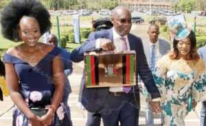 Bwalya ngandu budget