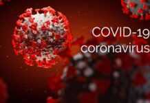 Angola : le Coronavirus impose une digitalisation de l’économie