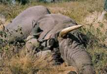 Lire aussi 2 Lire aussi 2