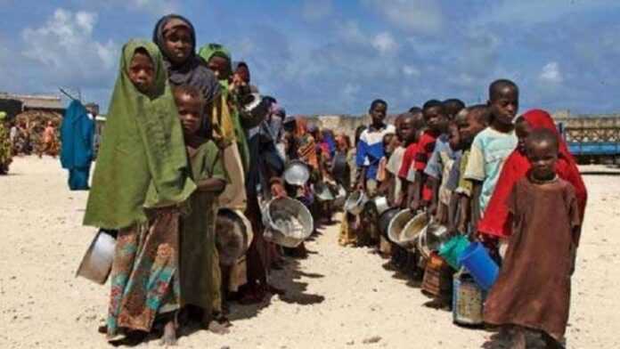 Famine, Afrique