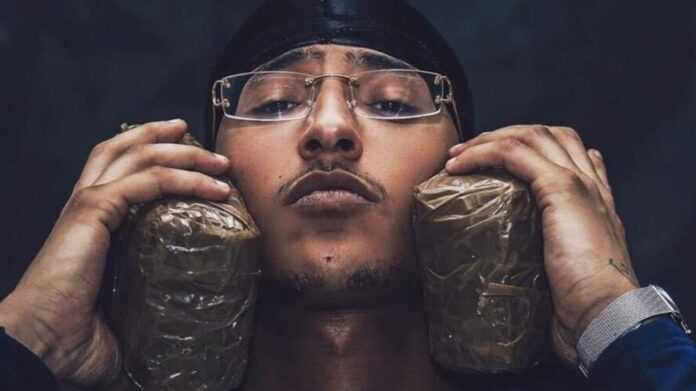 freeze Corleone ok