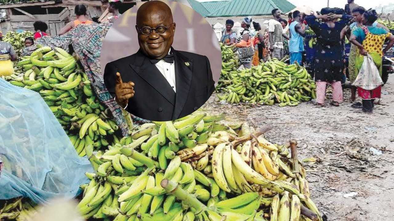 Ghana : les producteurs et exportateurs d'Agogo reconnaissants envers Akufo-Addo