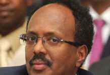 Mohamed Hussein Roble