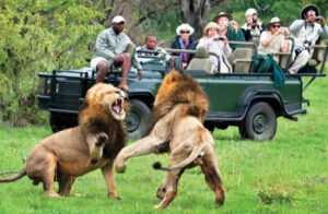 Safari famille afrique du sud 05