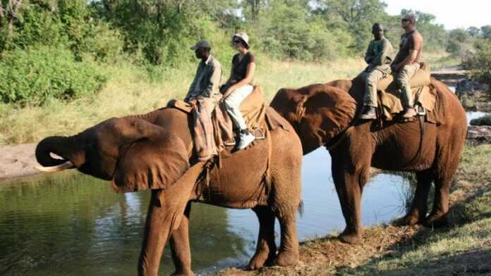 Tourism-in-Zimbabwe