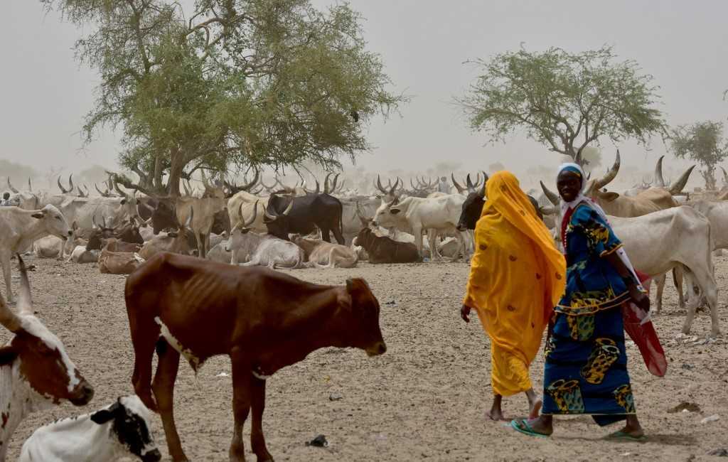 L'ONU lève 942/milliards FCFA pour le Mali, le Niger et le Burkina Faso