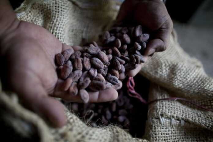 CACAOJEUDI