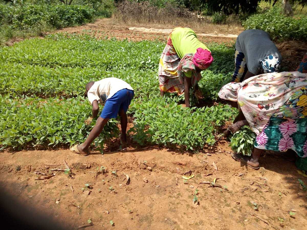 Burkina : 990 millions FCFA pour améliorer le quotidien des ruraux