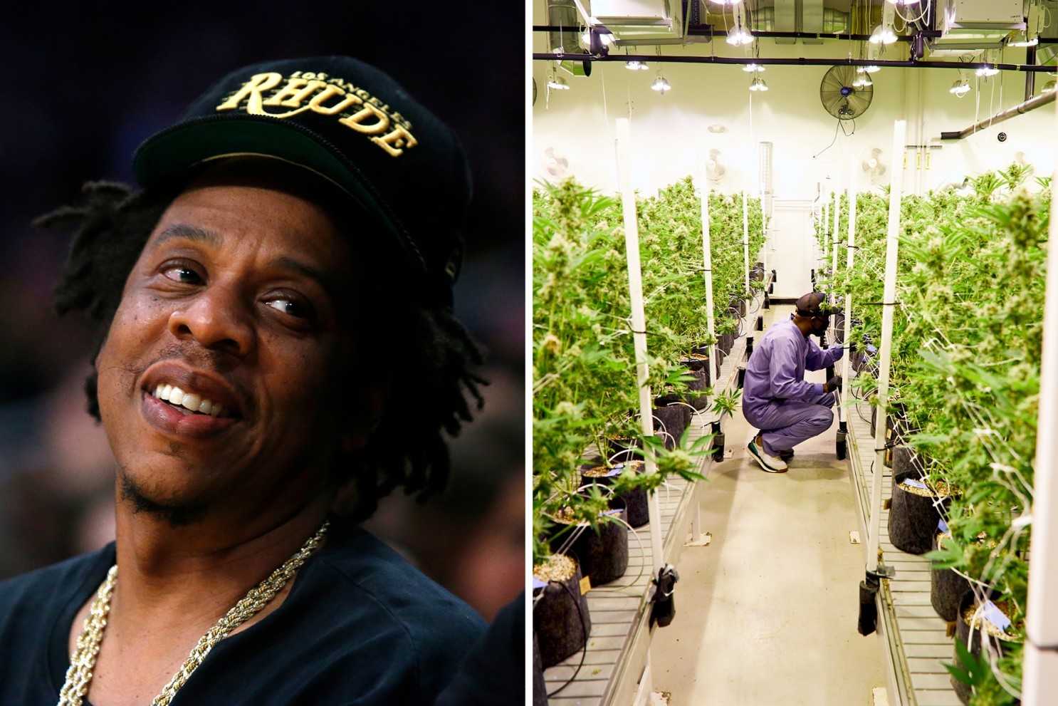 Jay-Z va s'aventurer dans l'industrie américaine du cannabis !