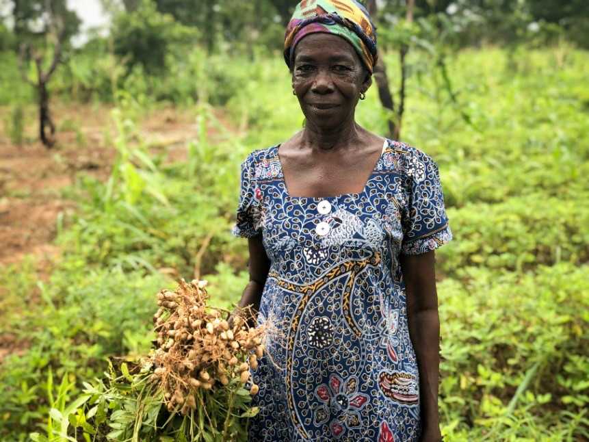 Agriculture Ghana