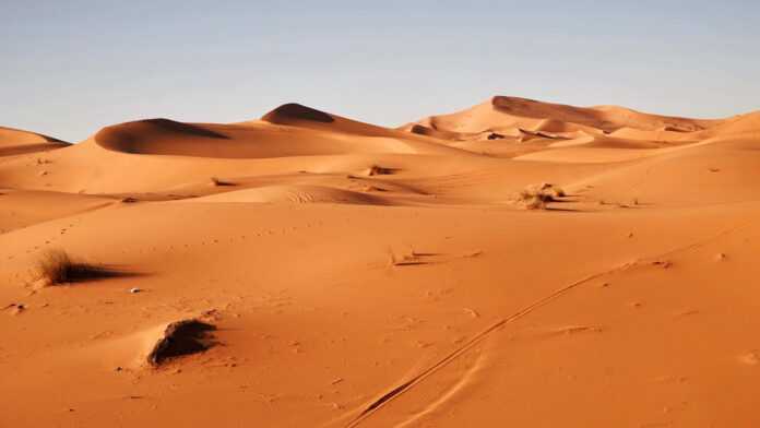 Sahara Occidental