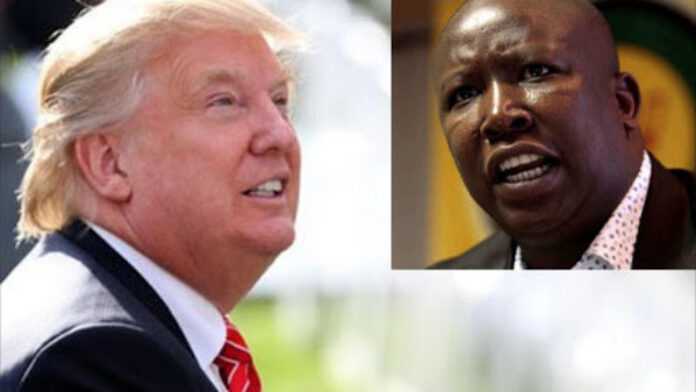 Trump et Malema (médaillon)