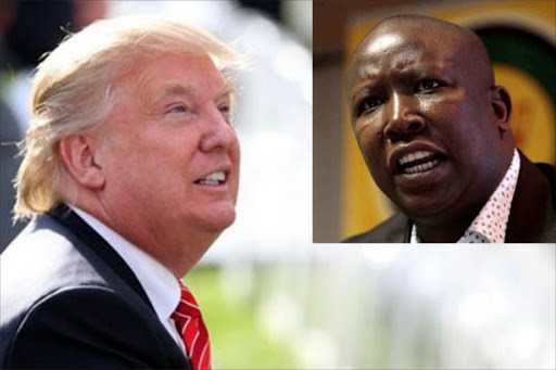 Julius Malema : « Trump est un pleurnichard »