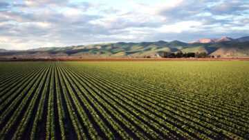 Les défis de l’inclusion financière rurale aujourd’hui en Afrique et comment les dépasser Champ de culture