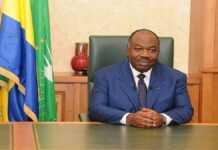 Gabon : changement constitutionnel en cas d’incapacité du Président Gabon : changement constitutionnel en cas d’incapacité du Président