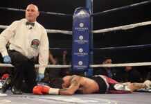 Boxe : duel Joshua / Pulev, l’arbitre sud-africain Dwarte désigné Boxe : duel Joshua / Pulev, l’arbitre sud-africain Dwarte désigné