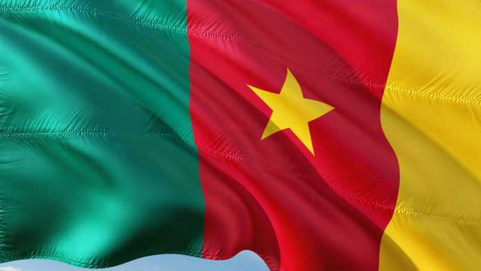 Drapeau du Cameroun