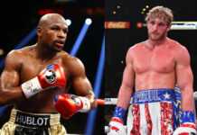 Boxe : Mayweather de retour contre le Youtubeur Logan Paul Boxe : Mayweather de retour contre le Youtubeur Logan Paul