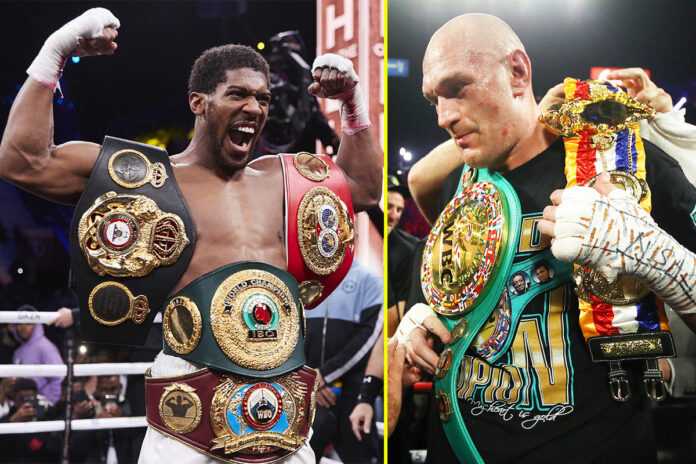 Joshua et Fury