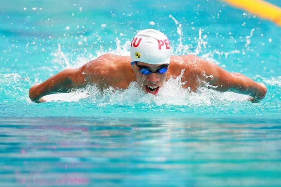 Natation : Vargas bat le record du LSC de 38 ans en 500 m libre