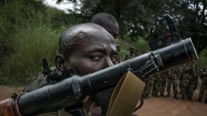 Des rebelles qui menacent la stabilité en Centrafrique